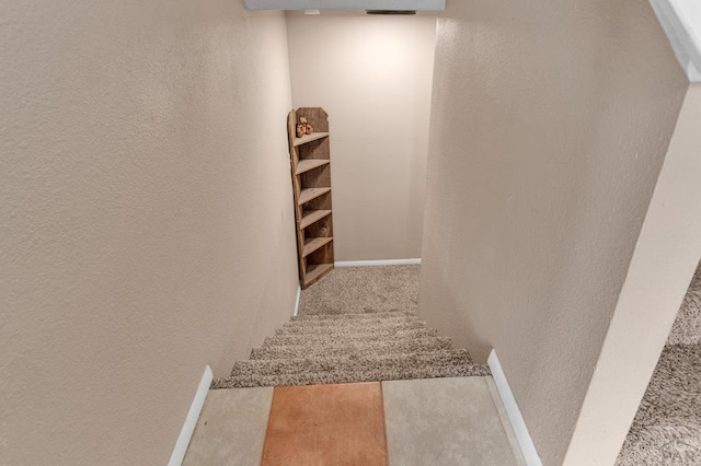 interior space featuring carpet, a textured wall, and baseboards