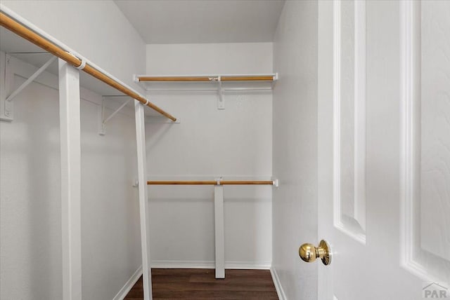 walk in closet with dark wood finished floors