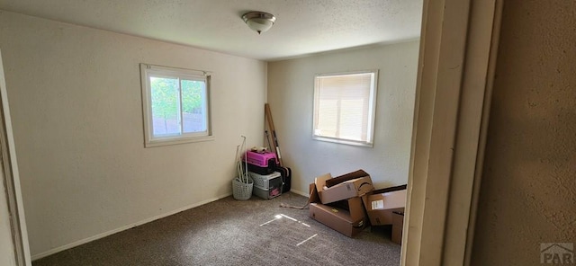 interior space with a textured ceiling, a textured wall, and carpet flooring