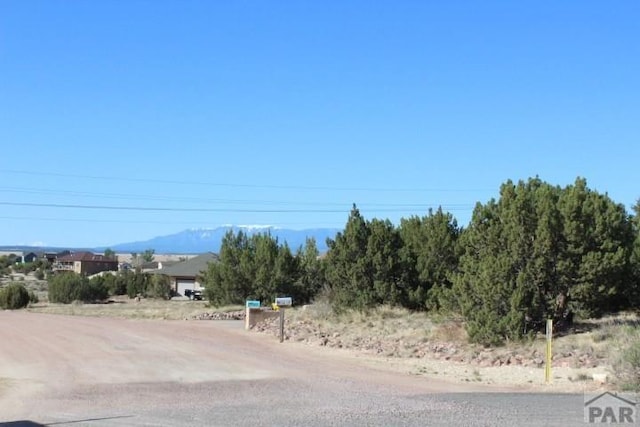 2123 W Carrizo Springs Ave, Pueblo West, CO 81007 - photo 10
