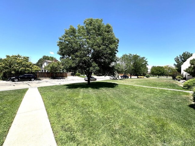 168 Gamble Ln, Pueblo, CO 81001 - photo 20