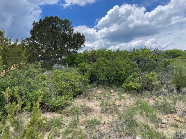 00 Big Bnd, Colorado City, CO 81019 - photo 9