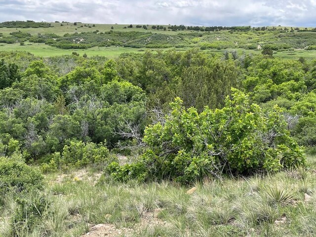 00 Big Bnd, Colorado City, CO 81019 - photo 11