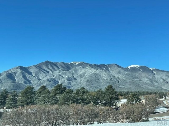 00 Big Bnd, Colorado City, CO 81019 - photo 5