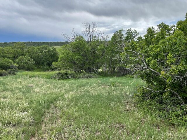 00 Big Bnd, Colorado City, CO 81019 - photo 17