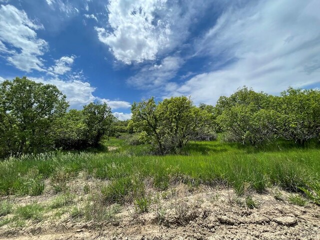 00 Big Bnd, Colorado City, CO 81019 - photo 3
