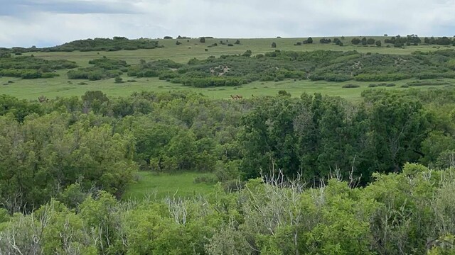 00 Big Bnd, Colorado City, CO 81019 - photo 15