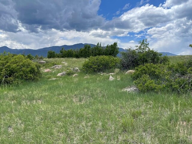 00 Big Bnd, Colorado City, CO 81019 - photo 10