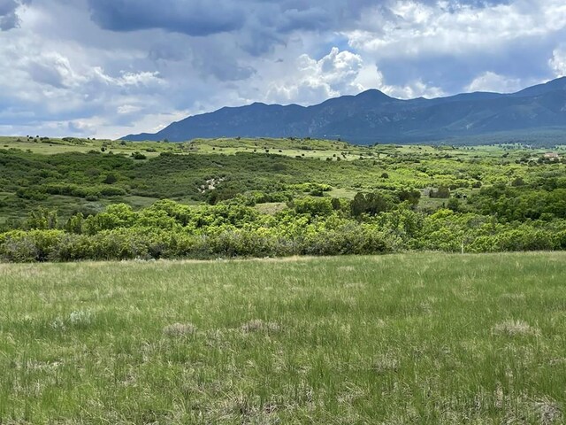 00 Big Bnd, Colorado City, CO 81019 - photo 4