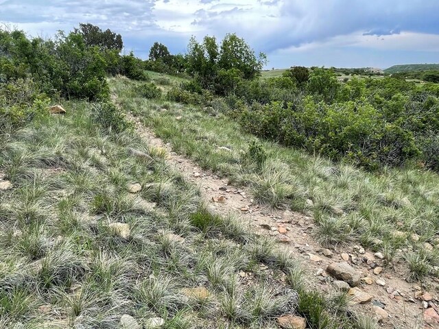 00 Big Bnd, Colorado City, CO 81019 - photo 12