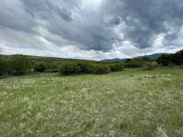 00 Big Bnd, Colorado City, CO 81019 - photo 16