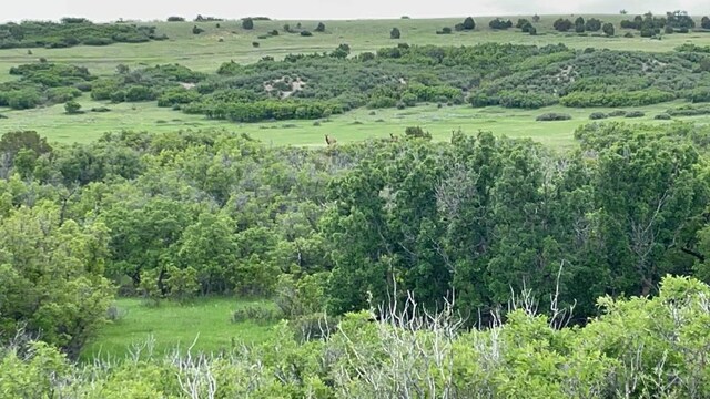 00 Big Bnd, Colorado City, CO 81019 - photo 14