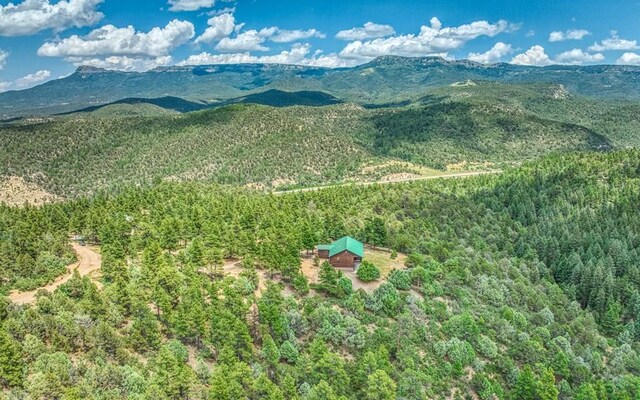 aerial view featuring a mountain view