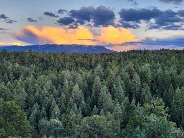 property view of mountains with a view of trees