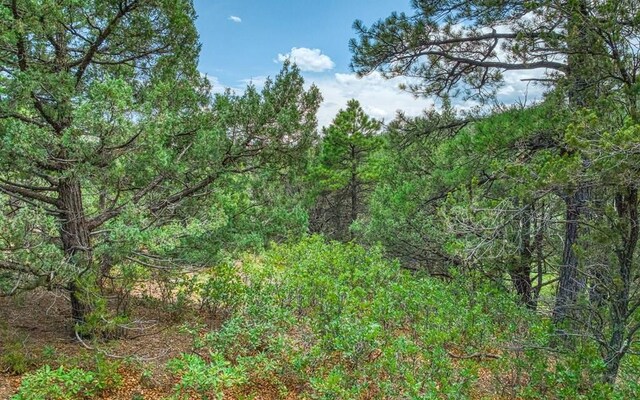 view of local wilderness featuring a wooded view