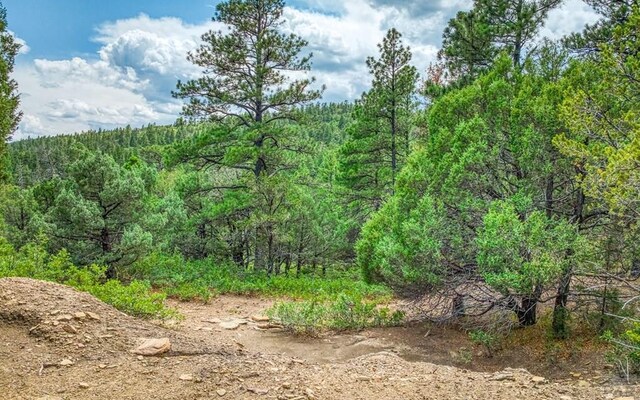 view of nature featuring a wooded view