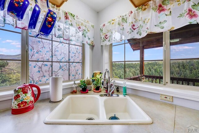 room details with a wooded view and a sink