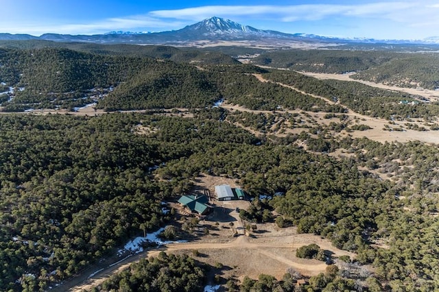 drone / aerial view with a mountain view and a view of trees