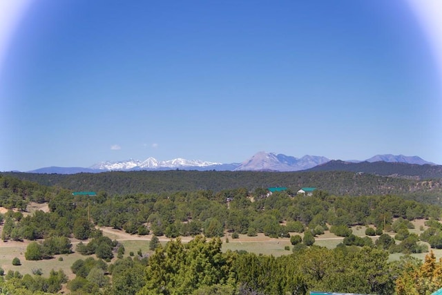 property view of mountains featuring a view of trees