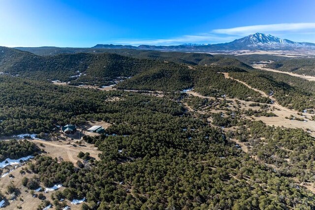 bird's eye view with a mountain view