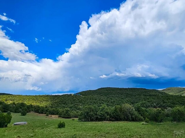 view of mountain feature featuring a view of trees and a rural view