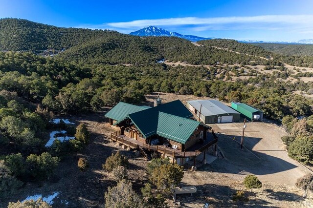 drone / aerial view with a mountain view and a view of trees