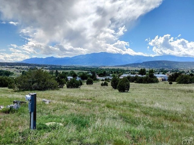 2853 Applewood Ct, Colorado City, CO 81019 - photo 23