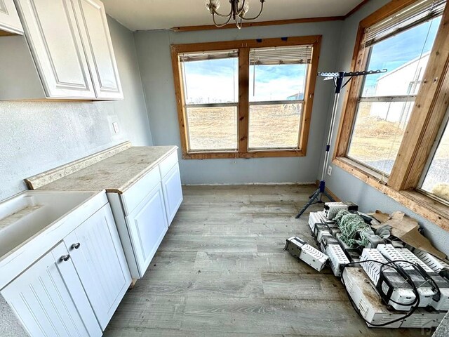 kitchen with light wood-type flooring, a healthy amount of sunlight, light countertops, and white cabinetry