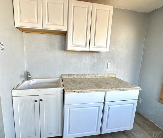 laundry area featuring wood finished floors and a sink