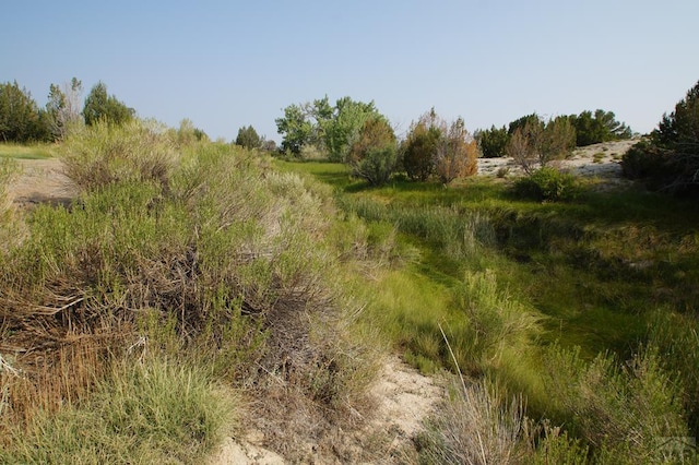358 13th St, Penrose, CO 81240 - photo 26