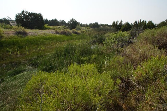 358 13th St, Penrose, CO 81240 - photo 24