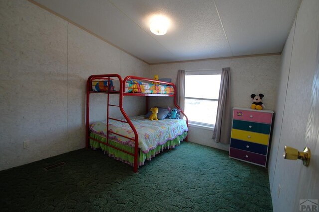 358 13th St, Penrose, CO 81240 - photo 11