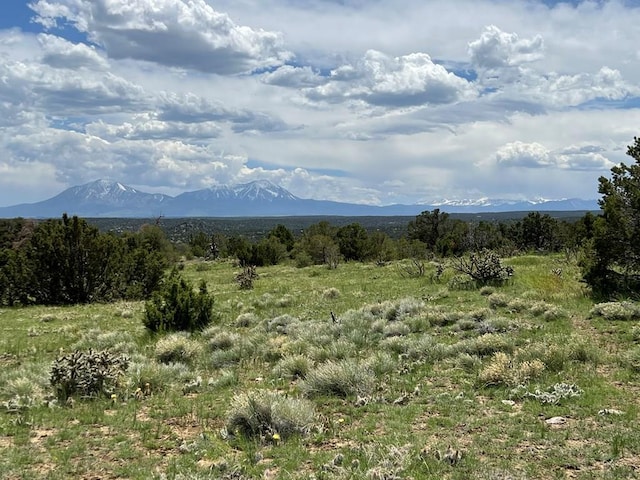 Listing photo 3 for TBD County Rd 521.3, Walsenburg CO 81089