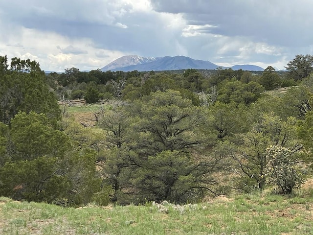 Listing photo 2 for TBD County Rd 521.3, Walsenburg CO 81089