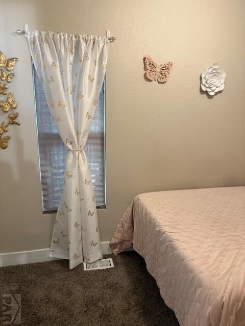 1019 W St, Pueblo, CO 81003 - photo 19