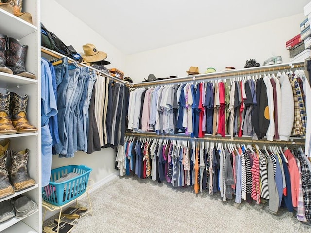 walk in closet with carpet flooring