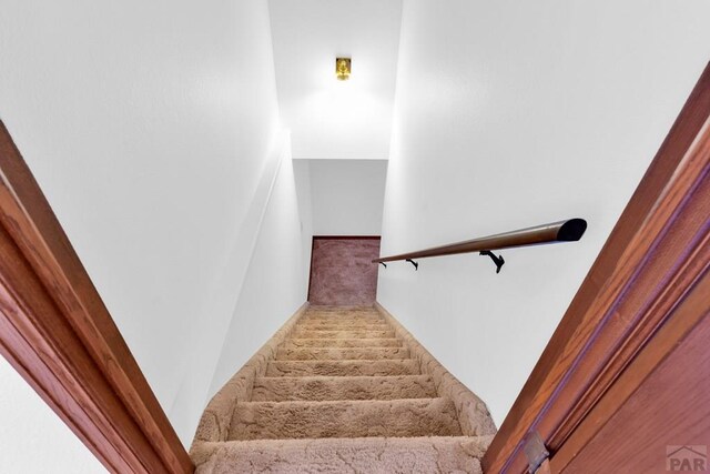 stairway featuring carpet