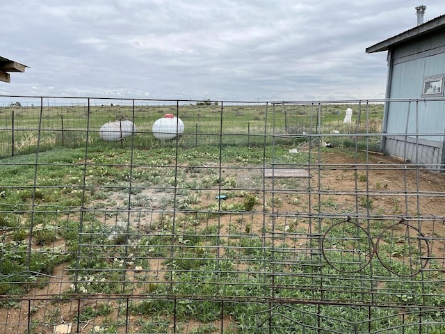 view of yard with a rural view