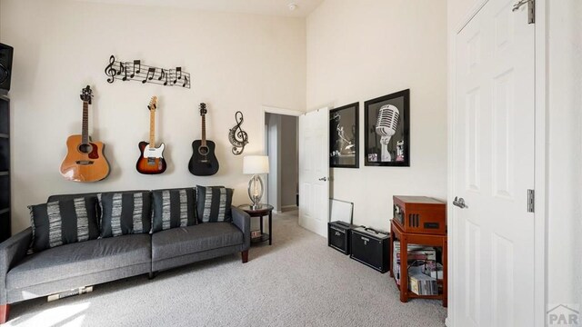 living area with carpet