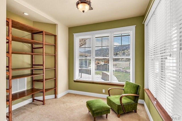 611 Rock Ridge Loop, Canon City, CO 81212 - sitting room with carpet, healthy amount of natural light, and baseboards