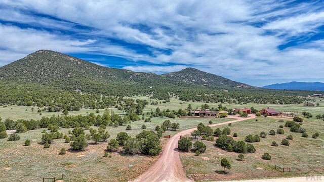 1328 Roundup Rd, Westcliffe, CO 81252 - photo 28