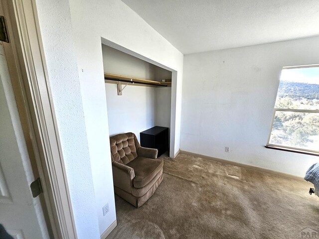 597 Piute Rd, Westcliffe, CO 81252 - living area with carpet floors, baseboards, and a textured wall