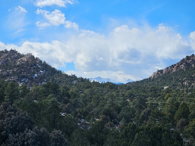 view of mountain feature featuring a forest view