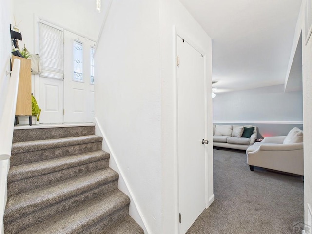 3210 Shalimar Ter, Pueblo, CO 81008 - stairs with carpet