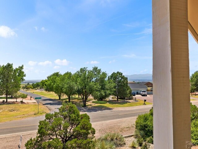 297 W Linden Ave, Pueblo West, CO 81007 - photo 22