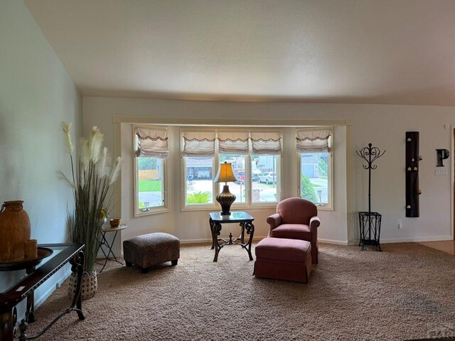 1509 Kingsroyal Blvd, Pueblo, CO 81005 - photo 12
