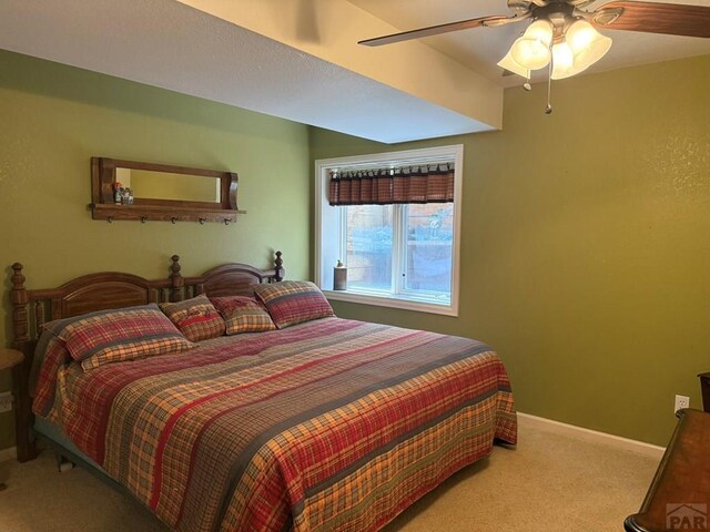 1509 Kingsroyal Blvd, Pueblo, CO 81005 - photo 58