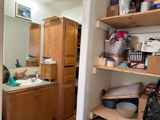 2795 Elizabeth St Unit 39, Canon City, CO 81212 - storage area featuring a sink