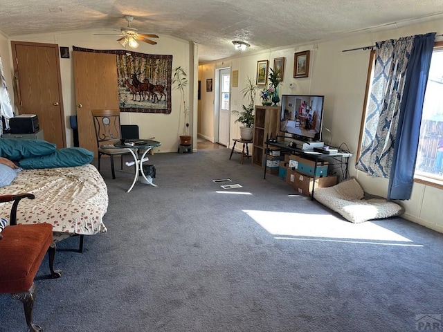 2795 Elizabeth St Unit 39, Canon City, CO 81212 - living area featuring a wealth of natural light, a ceiling fan, and carpet floors