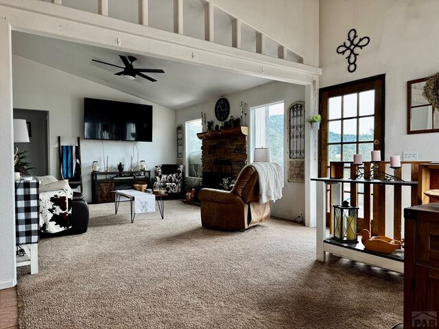 763 17th Trl, Cotopaxi, CO 81223 - photo 9